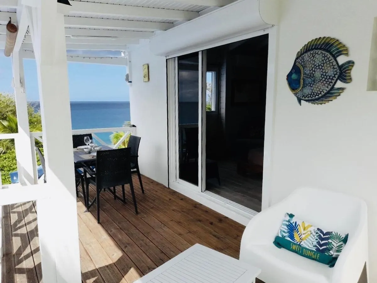 Grand Studio Avec Vue Panoramique Sur Grande Anse Deshaies